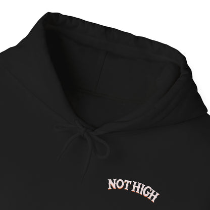 I’m Not High, You Are | Premium Double-Sided Stoner Hoodie