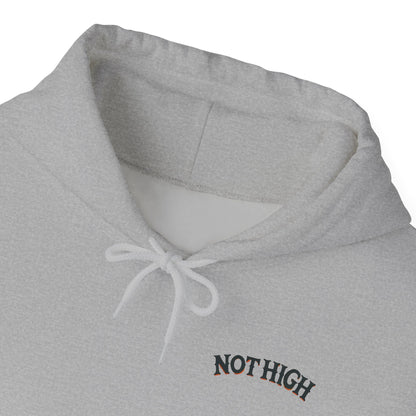 I’m Not High, You Are | Premium Double-Sided Stoner Hoodie